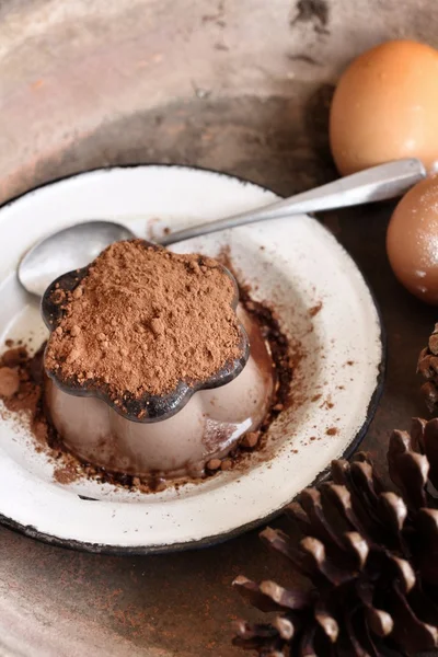Шоколадный пудинг — стоковое фото