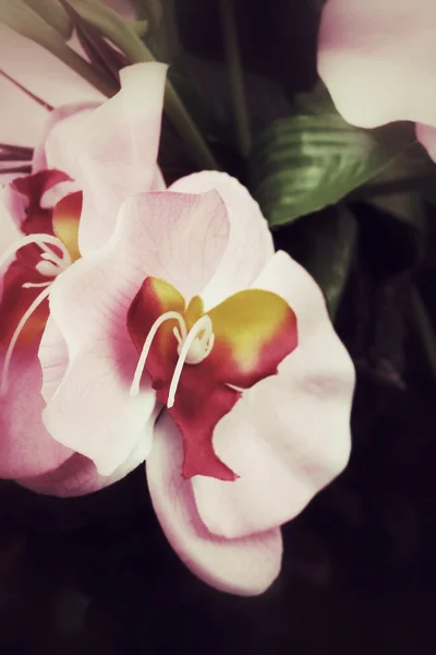 Umělé květy orchidejí — Stock fotografie