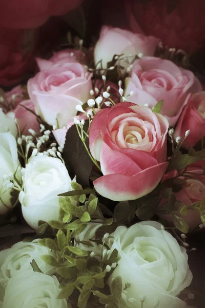 Vakre roser – stockfoto