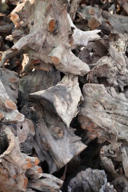 eski ahşap arka plan