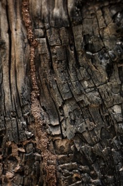 eski ahşap arka plan