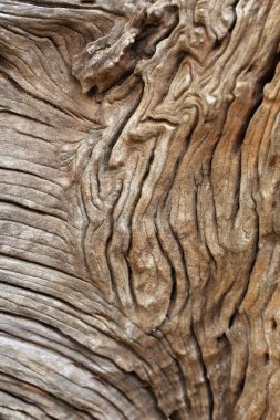 eski ahşap arka plan