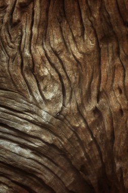 eski ahşap arka plan