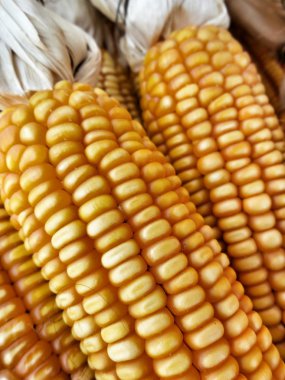 kurutulmuş cob Mısır