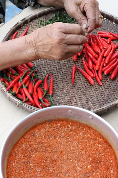 Paprika chili powder spices — Stock Photo, Image