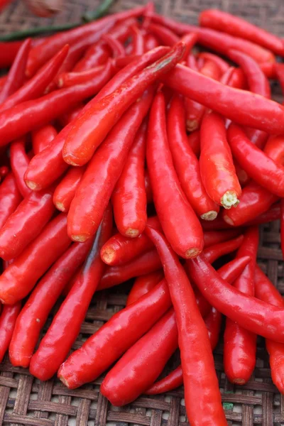 Red chili — Stock Photo, Image