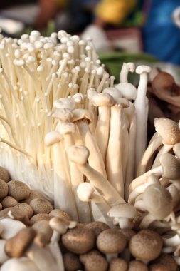 enoki ve shiitake mantar