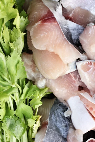 Fillet of fresh fish — Stock Photo, Image