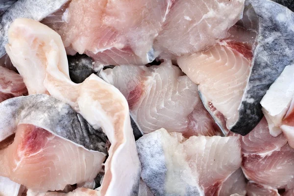 Taze balık fileto — Stok fotoğraf
