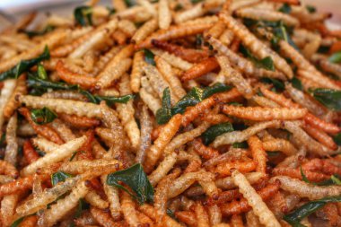 Kızarmış böcekler mealworms
