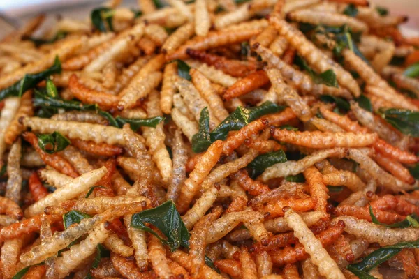 Fried insects mealworms — Stock Photo, Image