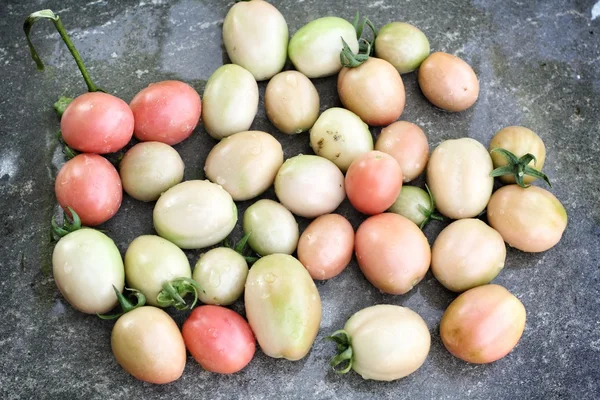 Tomates frescos — Fotografia de Stock