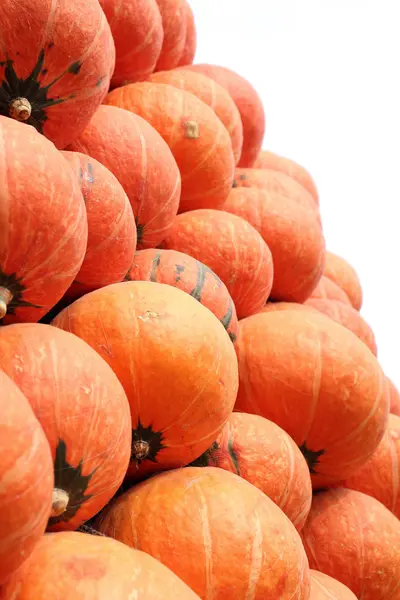 Verse pompoen oranje in de farm — Stockfoto