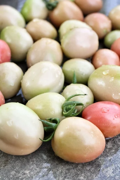 Fresh tomatoes — Stock Photo, Image