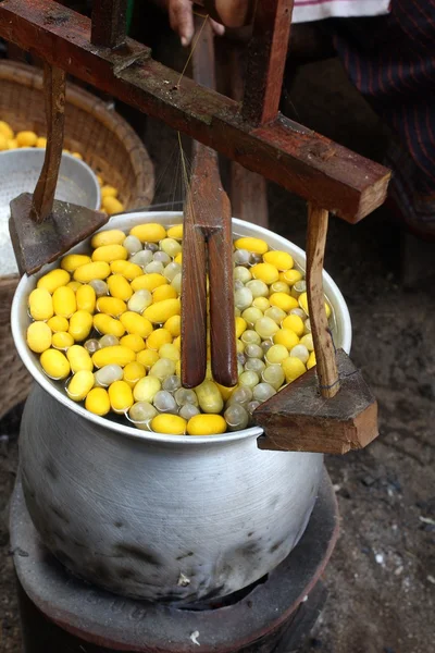 Verme-da-seda-do-casulo — Fotografia de Stock