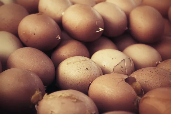 Huevos a la parrilla — Foto de Stock