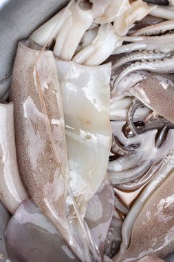 Fresh squid