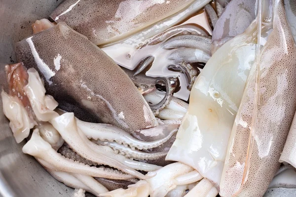 Fresh squid — Stok fotoğraf