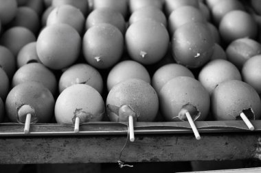 ızgara kahverengi yumurta