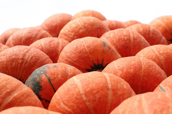 Frische Kürbisorangen auf dem Bauernhof — Stockfoto