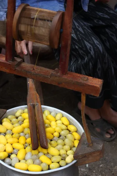 Bicho-da-seda de casulo amarelo — Fotografia de Stock