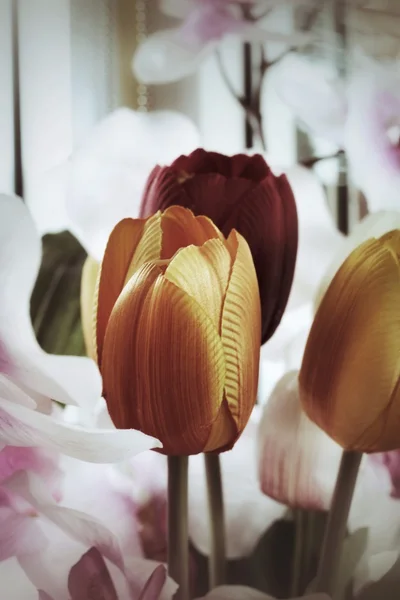 Beautiful lily flowers — Stock Photo, Image