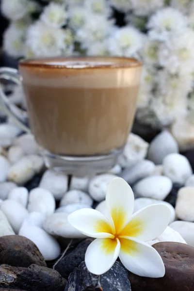 热卡布奇诺咖啡的杯子 — 图库照片