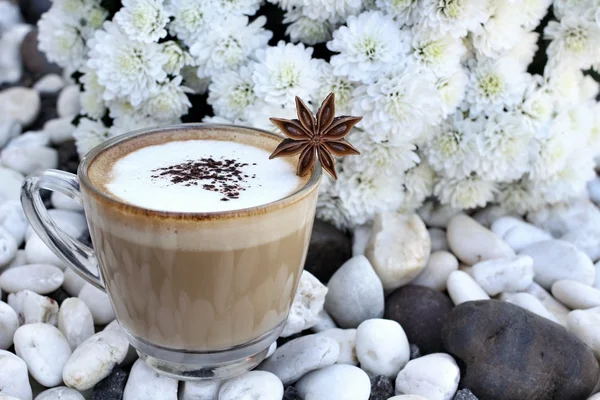 Pohár s horký cappuccino — Stock fotografie