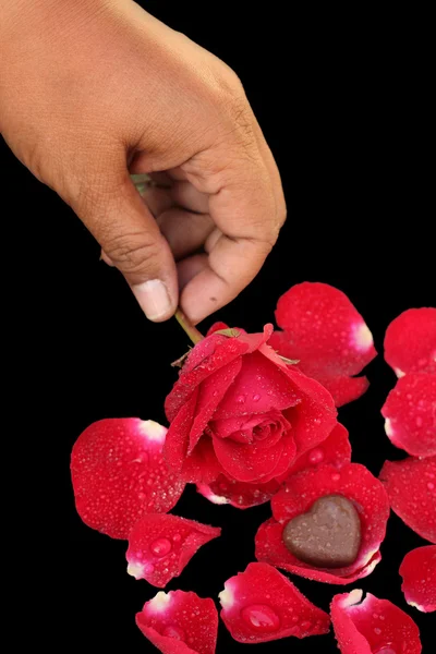 Corazón de chocolate y rosa roja — Foto de Stock