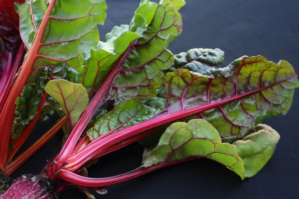 Swiss chard — Stock Photo, Image