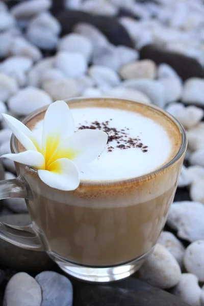 Cup with hot cappuccino — Stockfoto