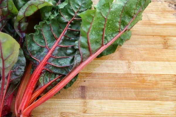 Swiss chard — Stock Photo, Image