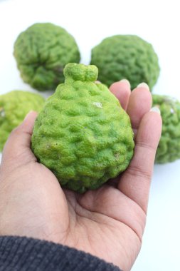 taze Güney Afrika'da bir kabile