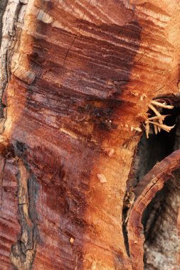 eski ahşap arka plan