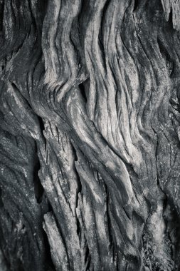 eski ahşap arka plan