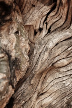 eski ahşap arka plan