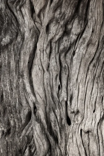 Fondo de madera vieja —  Fotos de Stock