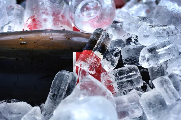 Vörös bor, a jégen — Stock Fotó
