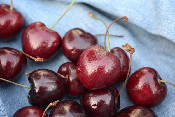 Cerezas frescas —  Fotos de Stock