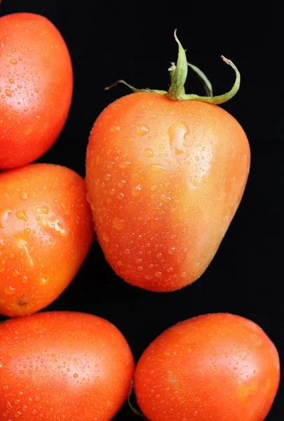 Fresh tomatoes — Stock Photo, Image