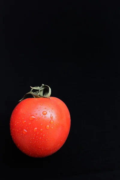 Fresh tomatoes — Stock Photo, Image