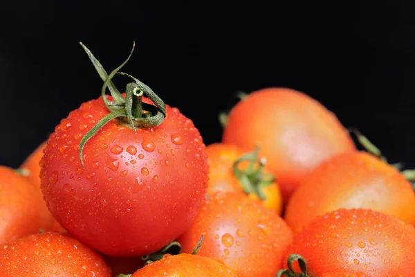 Tomates fraîches — Photo