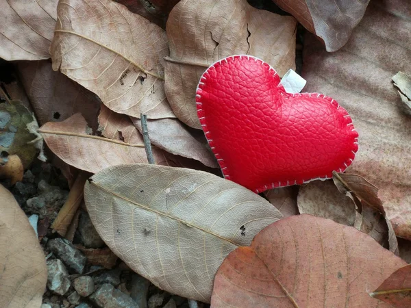 Coração de couro — Fotografia de Stock