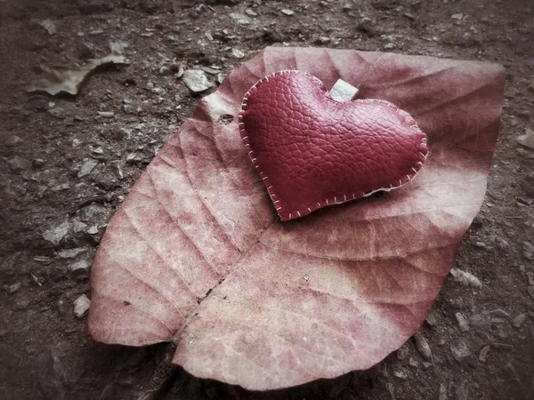 Corazón de cuero — Foto de Stock