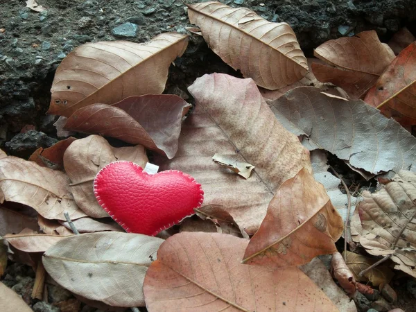 Leather heart — Stock Photo, Image