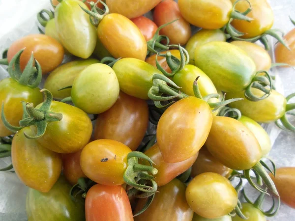 Frische Tomaten — Stockfoto