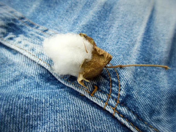 Coton sur jean vintage — Photo