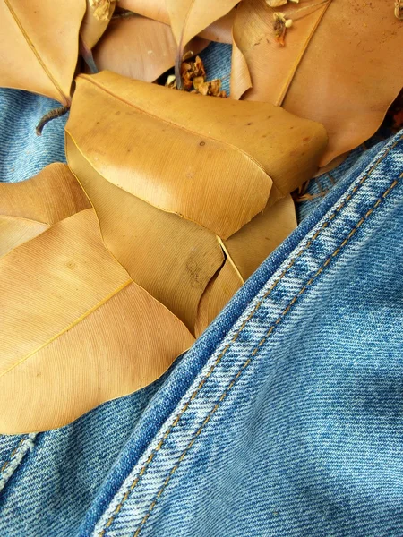 Vintage jeans med sömmar bakgrund — Stockfoto