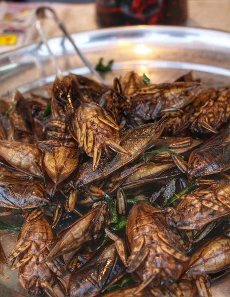 Fried insect — Stock Photo, Image