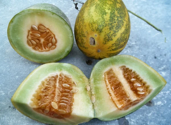Gröna cantaloupemelon — Stockfoto